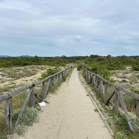 Il Mio Piccolo Angolo Di Mare ヴィアレッジョ エクステリア 写真